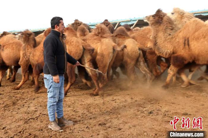 无码人妻少妇色欲AV一区二区