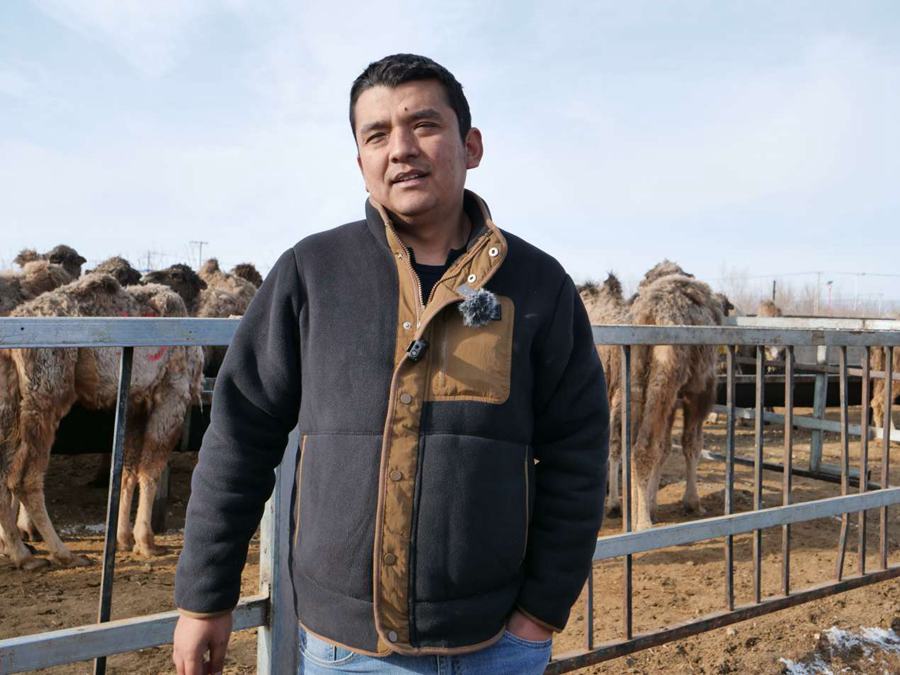 无码人妻少妇色欲AV一区二区