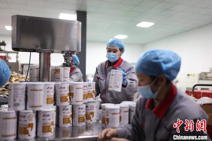 无码人妻少妇色欲AV一区二区