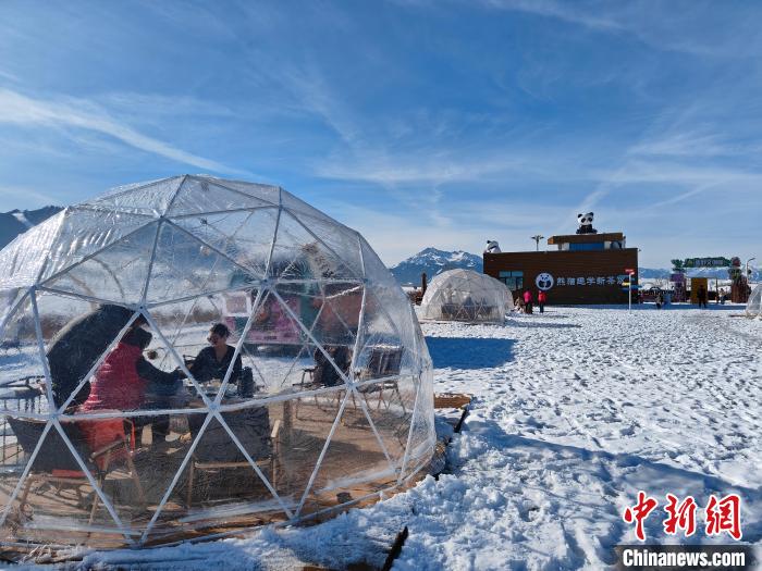 无码人妻少妇色欲AV一区二区