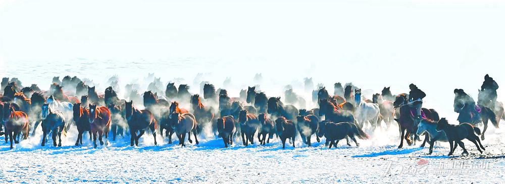 无码人妻少妇色欲AV一区二区