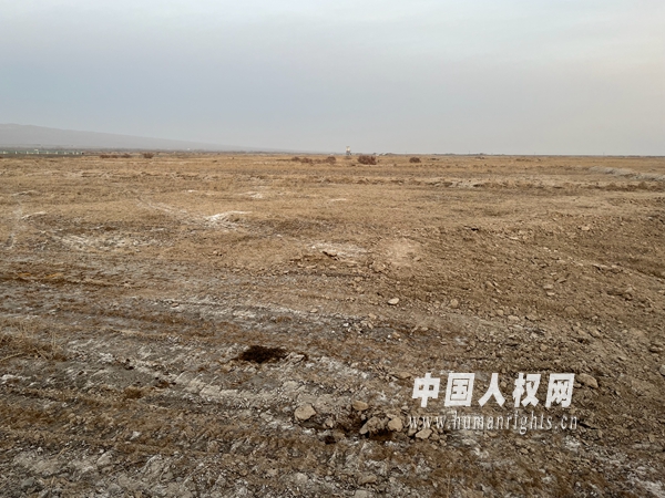 无码人妻少妇色欲AV一区二区