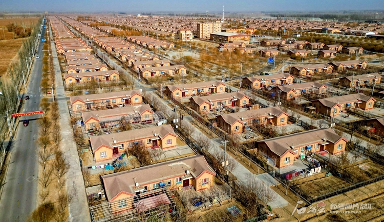 无码人妻少妇色欲AV一区二区