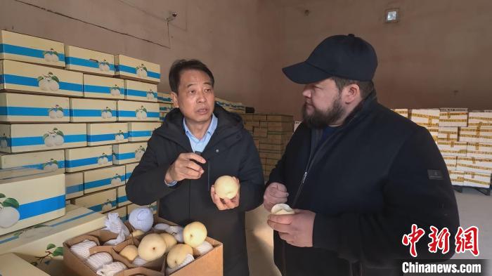 无码人妻少妇色欲AV一区二区