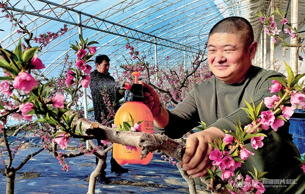 无码人妻少妇色欲AV一区二区