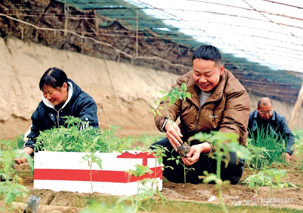 无码人妻少妇色欲AV一区二区
