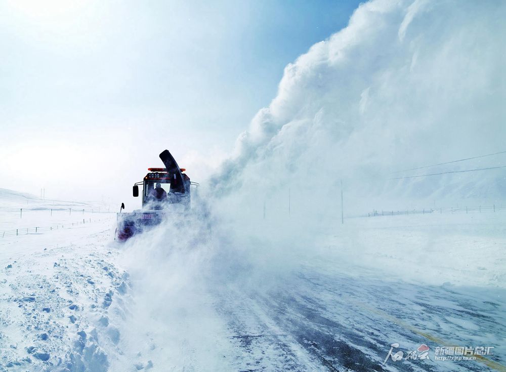 无码人妻少妇色欲AV一区二区