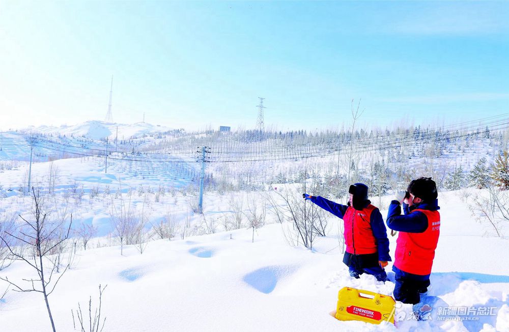 无码人妻少妇色欲AV一区二区