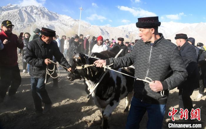 无码人妻少妇色欲AV一区二区