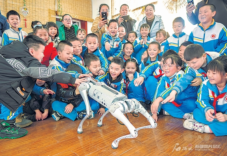 无码人妻少妇色欲AV一区二区