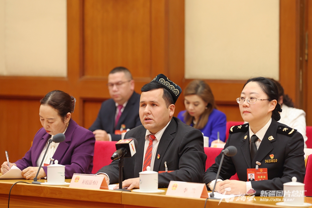 无码人妻少妇色欲AV一区二区