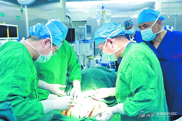 无码人妻少妇色欲AV一区二区