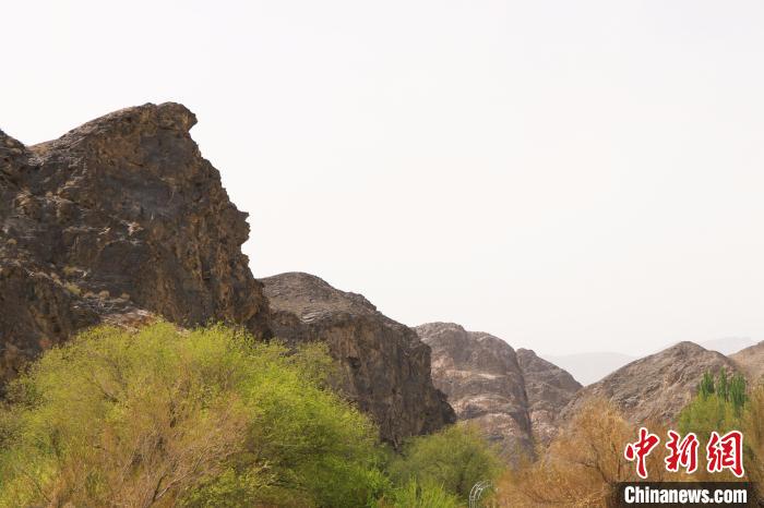 无码人妻少妇色欲AV一区二区