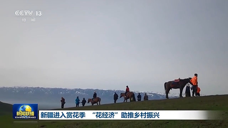 无码人妻少妇色欲AV一区二区