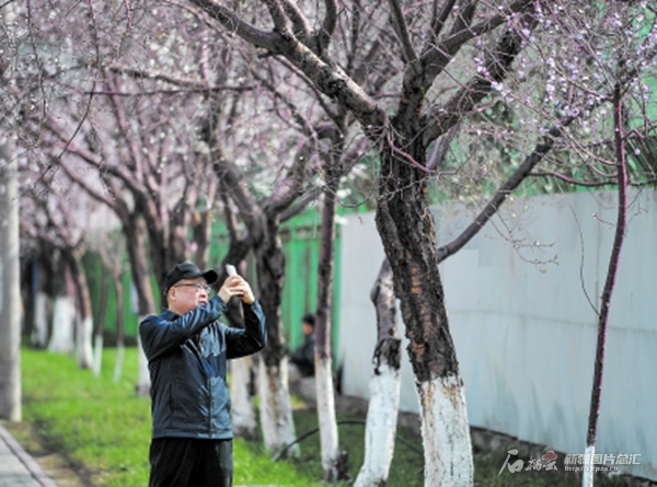 无码人妻少妇色欲AV一区二区