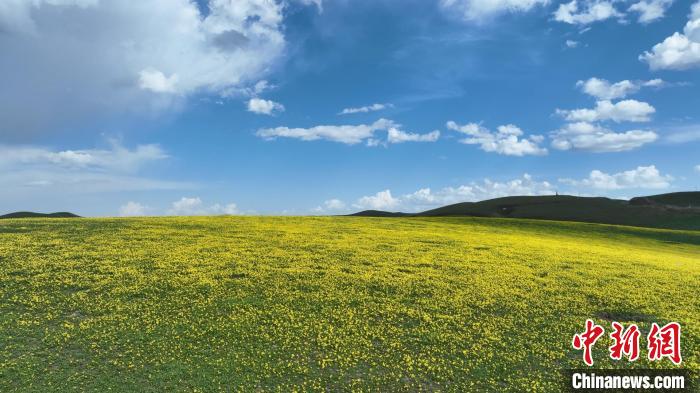 无码人妻少妇色欲AV一区二区