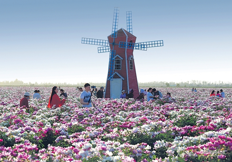 无码人妻少妇色欲AV一区二区