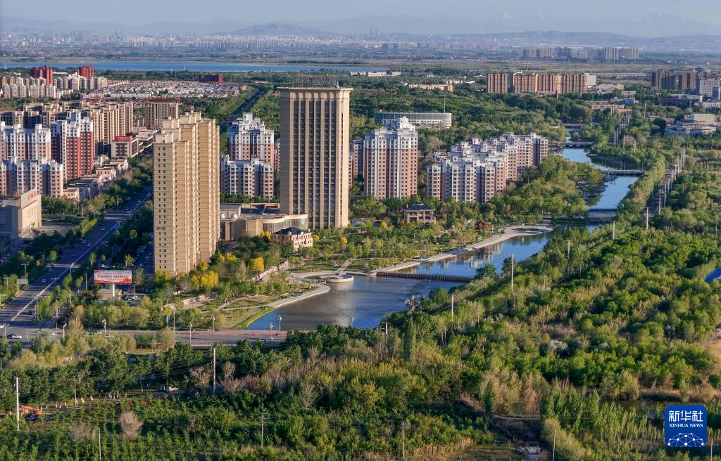 无码人妻少妇色欲AV一区二区