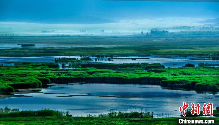 无码人妻少妇色欲AV一区二区