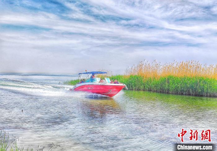 无码人妻少妇色欲AV一区二区