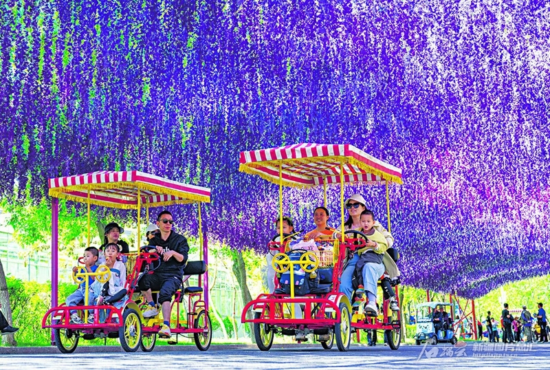 无码人妻少妇色欲AV一区二区