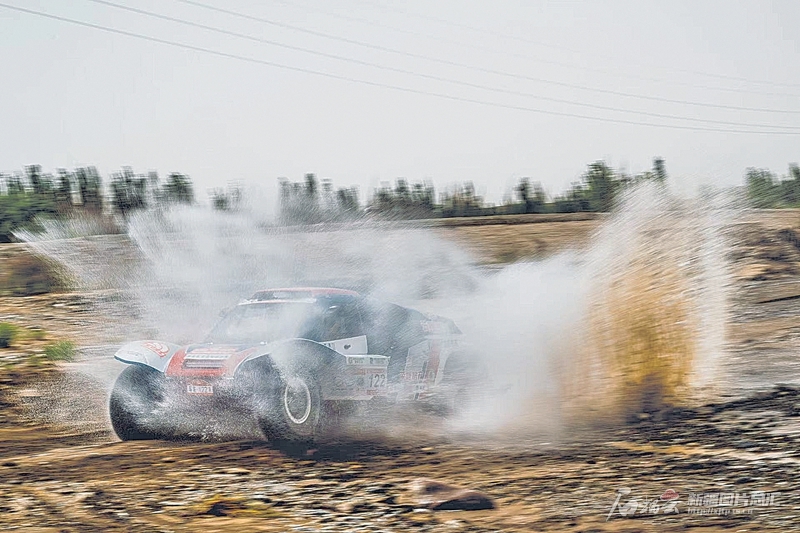 无码人妻少妇色欲AV一区二区