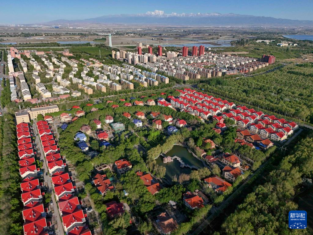 无码人妻少妇色欲AV一区二区