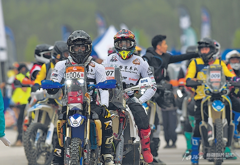 无码人妻少妇色欲AV一区二区