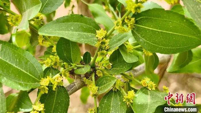 无码人妻少妇色欲AV一区二区