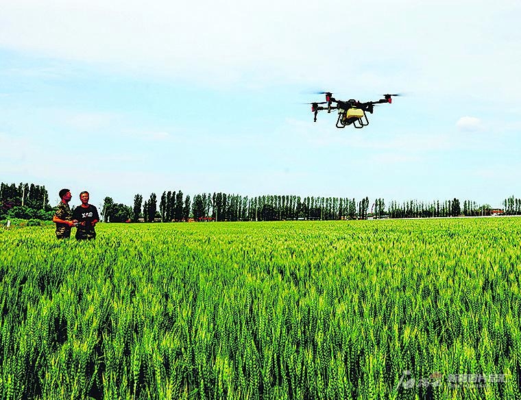 无码人妻少妇色欲AV一区二区