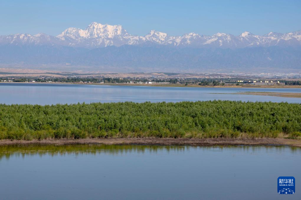 无码人妻少妇色欲AV一区二区