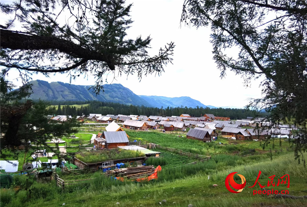 无码人妻少妇色欲AV一区二区