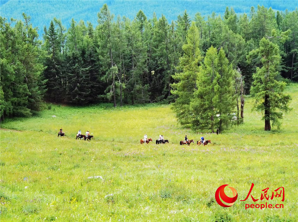 无码人妻少妇色欲AV一区二区