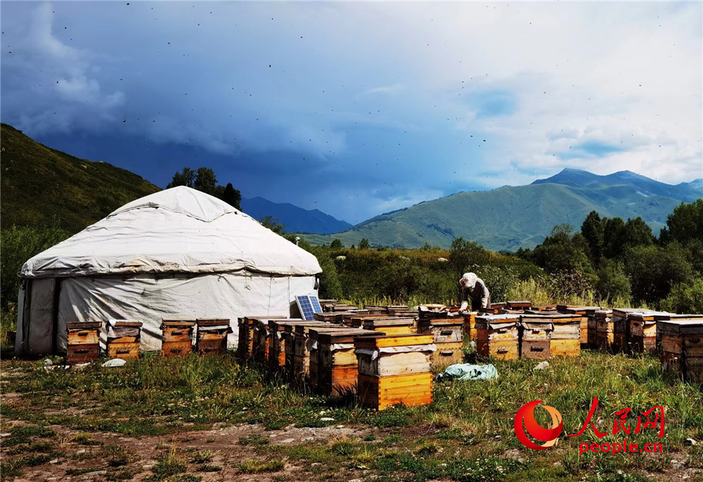 无码人妻少妇色欲AV一区二区