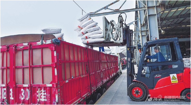 无码人妻少妇色欲AV一区二区