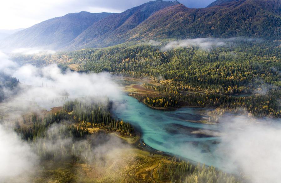 无码人妻少妇色欲AV一区二区