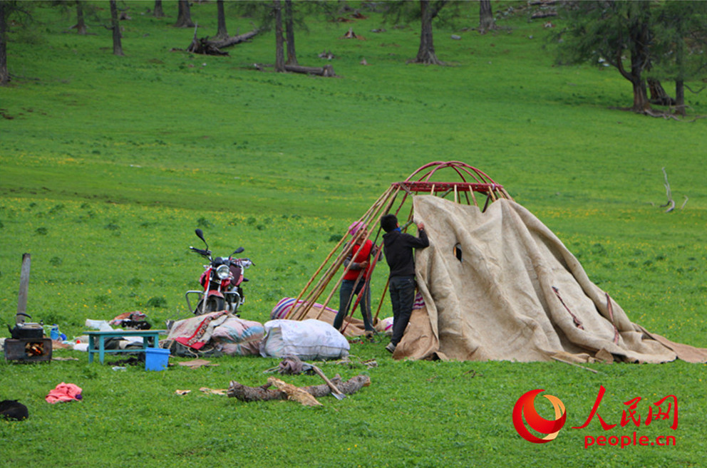 无码人妻少妇色欲AV一区二区