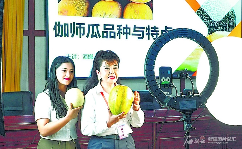 无码人妻少妇色欲AV一区二区