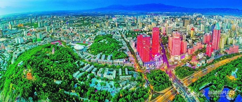 无码人妻少妇色欲AV一区二区