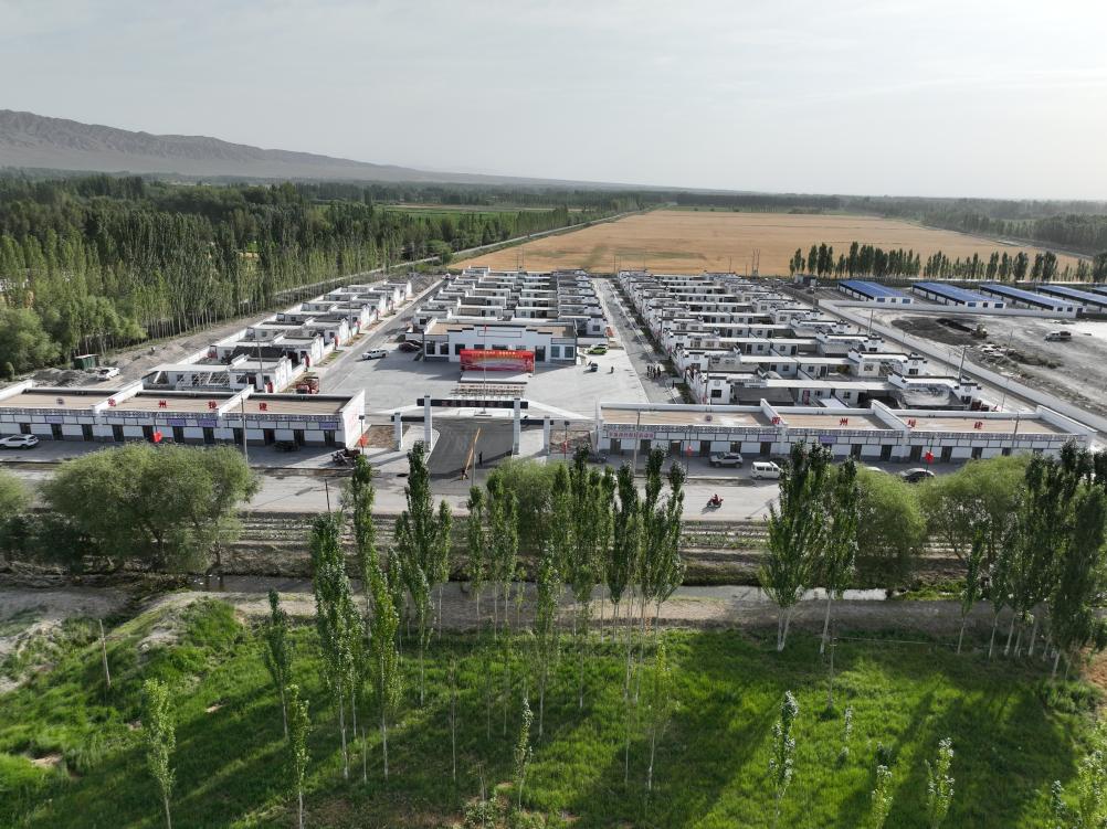 无码人妻少妇色欲AV一区二区