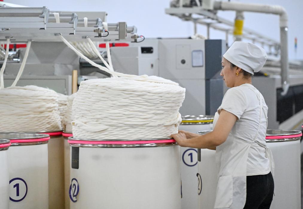 无码人妻少妇色欲AV一区二区