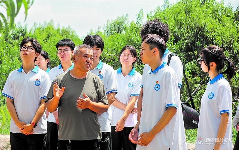 无码人妻少妇色欲AV一区二区