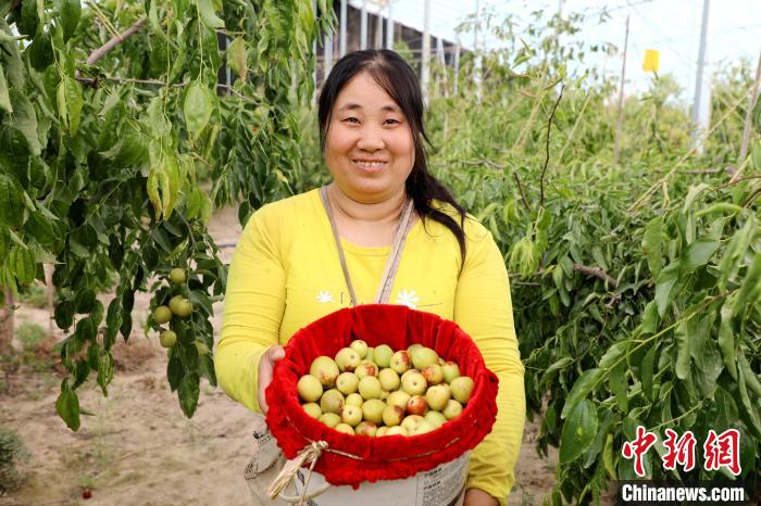 无码人妻少妇色欲AV一区二区