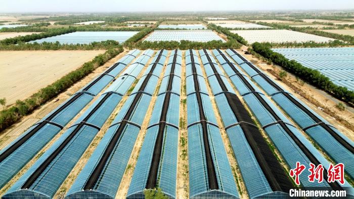 无码人妻少妇色欲AV一区二区