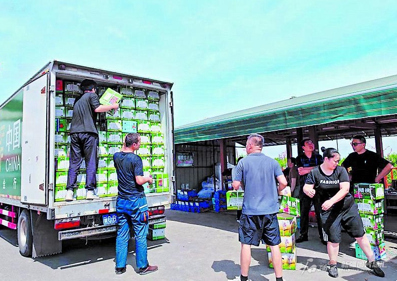 无码人妻少妇色欲AV一区二区