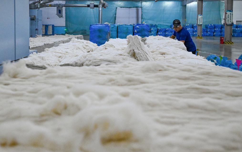 无码人妻少妇色欲AV一区二区