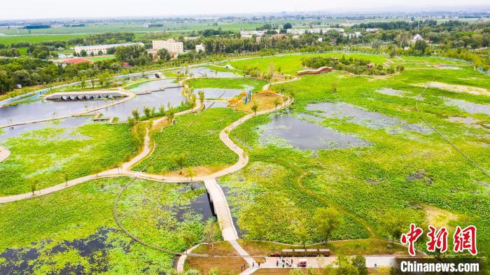 无码人妻少妇色欲AV一区二区