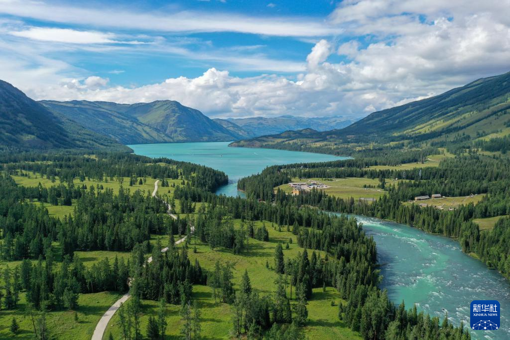 无码人妻少妇色欲AV一区二区