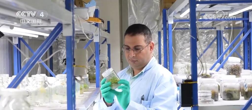 无码人妻少妇色欲AV一区二区