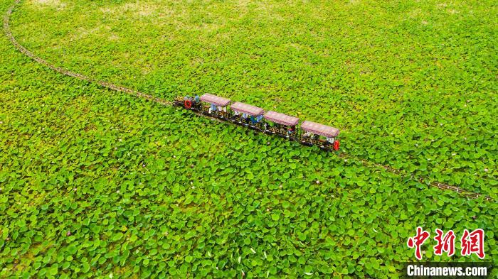 无码人妻少妇色欲AV一区二区